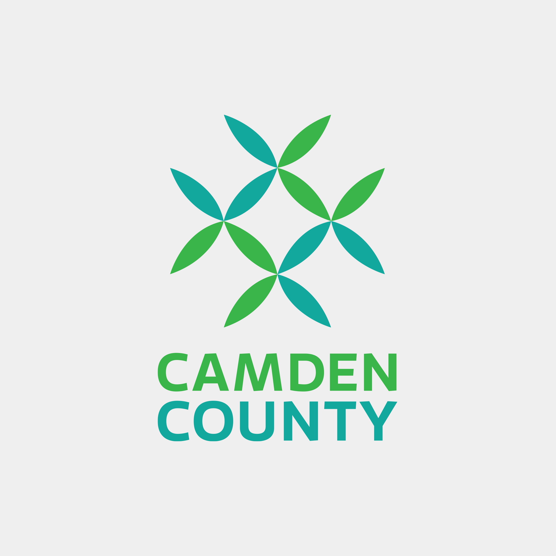 camden county